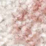 cream, pale pink, plum, light slate, peach