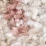 cream, pale pink, plum, light slate, peach