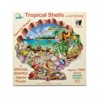 Sunsout Tropical Shells 800 pc Special Shape  Jigsaw Puzzle 95012 - 3 of 4