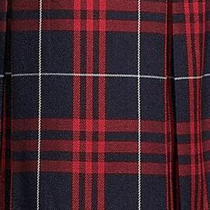 classic navy large plaid