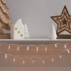 100ct Incandescent Smooth Mini Christmas String Lights with Green Wire - Wondershop™ - 2 of 4
