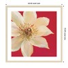 Amanti Art Contemporary Clematis by Danhui Nai Wood Framed Wall Art Print - 4 of 4