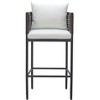 Zuo Palm Paradise Barstool Gray - 4 of 4