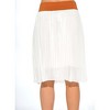 Just Love Skirts / Pleated Skirt - 3 of 3