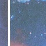 rose red packaging bags