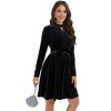 BLUEMING Womens Velvet Cocktail Dress Vintage Long Sleeve Babydoll V Neck A Line Wedding Guest Mini Dress - 3 of 4