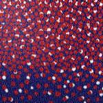 red white blue dot