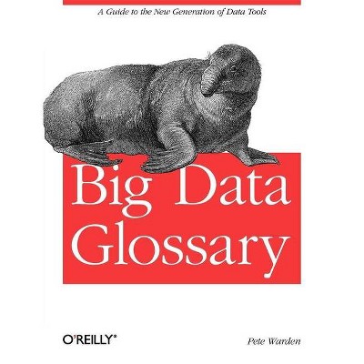 Big Data Glossary - by  Pete Warden (Paperback)