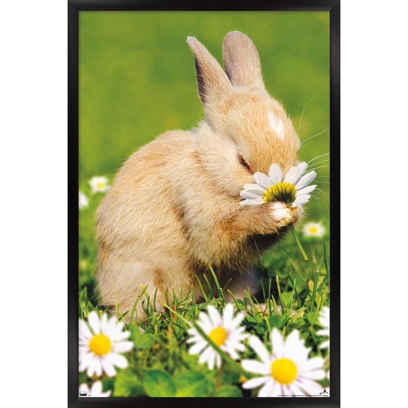 Trends International Avanti - Bunny Smelling Flower Framed Wall Poster Prints, 1 of 7