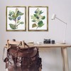 Stupell Industries Soft Eucalyptus Plant Ombre Leaves 2pc Floating Frame Art Set - 2 of 4