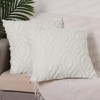 Unique Bargains Shaggy Plush Faux Fur Throw Patterned Pillow Covers 2 Pcs - 2 of 4