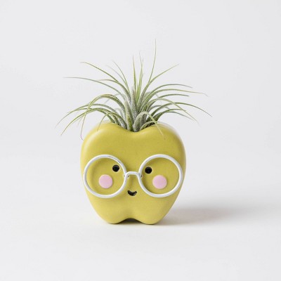 Live Apple Bottom Plant Genius Green - Good Little Garden™