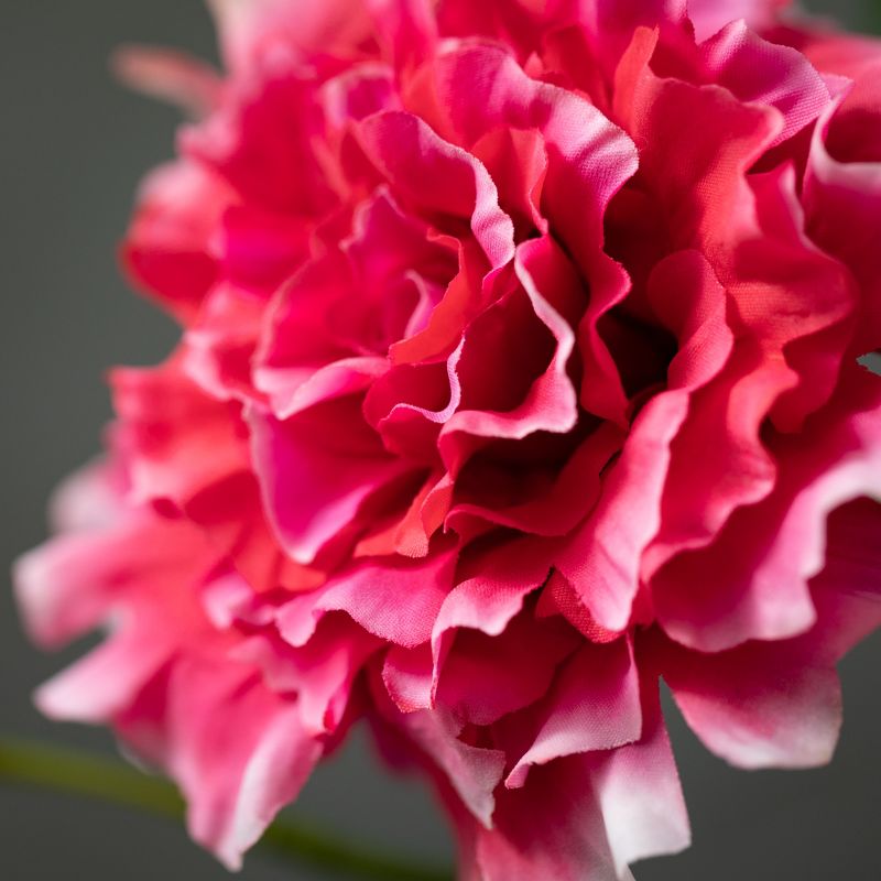 Sullivans Artificial Magenta Lisianthus Flower Stem 28"H Pink, 2 of 3