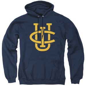 University of California Irvine Official Distressed Primary Logo Adult Pull-Over Hoodie - 1 of 4