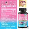 Zoyava Collagen Pills Peptides Types I, II, III, V & X 64,000 MCG, All in One Supplement, 270 ct - 2 of 4