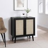 Modern Boho Wood and Rattan 2 Door Accent Cabinet - Saracina Home - 2 of 4