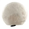 Stony Creek 8.75 In Thankful & Blessed Pre-Lit Orb Round Autumn Novelty Sculpture Lights - 3 of 3