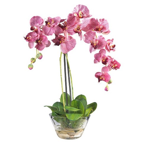 Orchid Arrangements Artificial