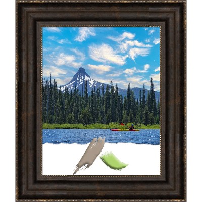 Amanti Art Stately Bronze Picture Frame