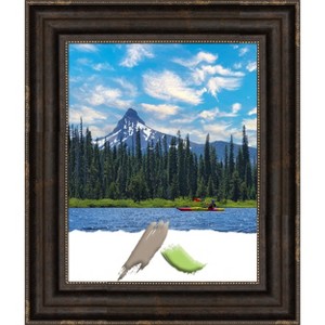 Amanti Art Stately Bronze Picture Frame - 1 of 4