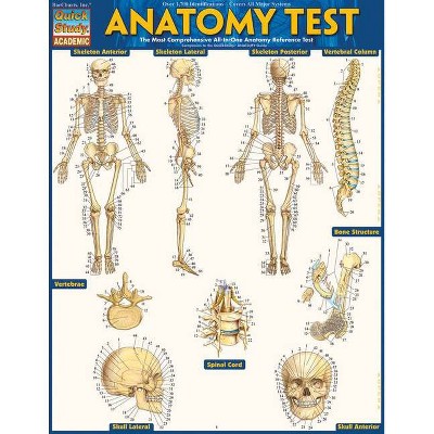Anatomy Test Reference Guide (8.5 X 11) - by  Vincent Perez (Poster)
