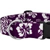 Country Brook Petz HossFit Jr Wide Deluxe Dog Collar - Summer Breeze Collection - 4 of 4