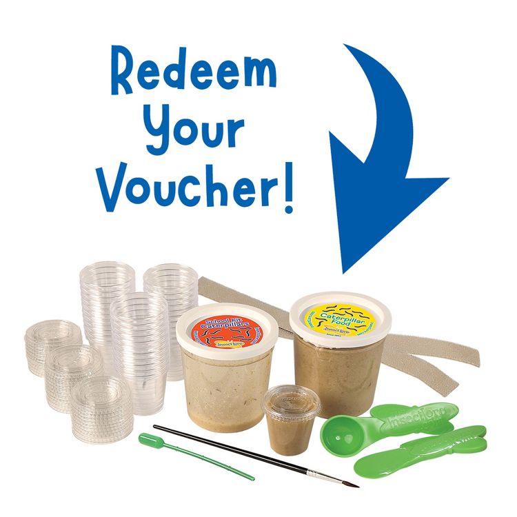 Insect Lore Butterfly Growing Classroom Prepaid Kit, Voucher for 33 Caterpillars, 3 of 4