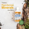 Vital Earth Minerals Fulvic Humic Mineral Blend Liquid – Fulvic Acid Supplement with 70+ Trace Minerals, Electrolytes for Recovery, 32 Oz + 1 Oz Cup. - 3 of 4