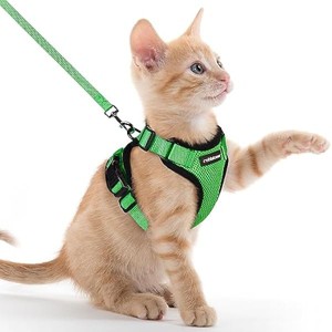 rabbitgoo Cat Harness and Leash for Walking, Escape Proof Soft Adjustable Vest Harnesses for Cats,  Jacket, Grass Green, XXS - 1 of 1