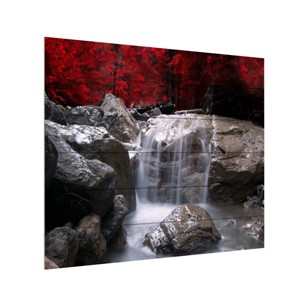 Trademark Fine Art - "Red Vison" Outdoor All-Weather Wall Decor - 1 of 4