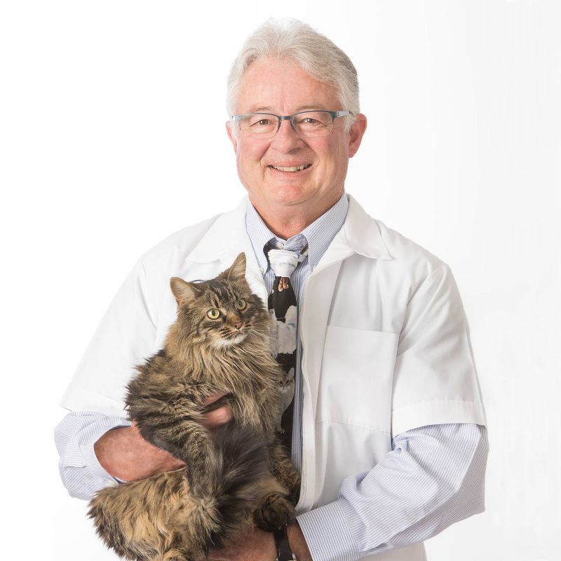 Dr. Elsey&#39;s Fragrance Free Ultra Unscented Cat Litter - 35lb, 6 of 9