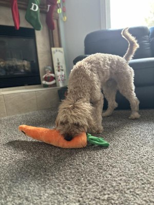 Zippypaws Carrot Jiggler Dog Toy - 21 : Target