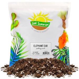 Soil Sunrise Elephant Ear Potting Soil Mix, Colocasia Esculenta Potted Plant Blend - 1 of 4