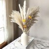 Alilang Pampas Grass Dried Floral Arrangement with Yellow Strawflower Accents, 17.5 Inches - Beige - 2 of 4