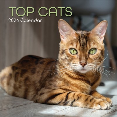 2026 Square Wall Calendar, Top Cats, 16-Month Animals Theme with 180 Reminder Stickers (12x12 In)
