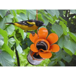 Songbird Essentials Orange Jelly Jam Fliteline Oriole Feeder - 6.5" - 1 of 3