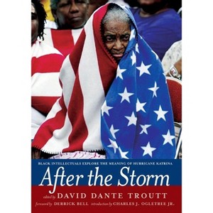 After the Storm - by  David Dante Troutt (Hardcover) - 1 of 1
