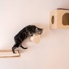 Armarkat Real Wood Wall Series Cat Tree with Condo, Perch and Stepup - image 2 of 4