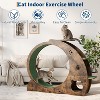 Cat Exercise Wheel for Indoor Cats,Large Cat Running Wheel with 3-Level Jumping Tower - 4 of 4