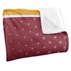 Midwestern State University Logo Dots Silky 50x60 Blanket, 1 Sided - 3 of 4