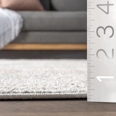 Elegant Vintage Floral Gray 9' x 12' Synthetic Area Rug