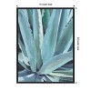 Amanti Art Blue Agave by Alana Clumeck Canvas Wall Art Print Framed 18 x 24-in. - 4 of 4