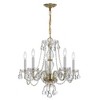 Crystorama Lighting Traditional Crystal 5 - Light Chandelier in  Polished Brass - 4 of 4