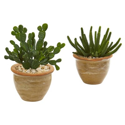 11" x 11" 2pc Artificial Cactus Succulent Plant in Ceramic Vase Set - Nearly Natural