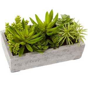 Nearly Natural Succulent Garden with Concrete Planter - 1 of 1