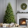 National Tree Company Pre-Lit PowerConnect Princeton Fraser Fir Artificial Christmas Tree Dual Color LED Lights - 3 of 4