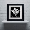 Trademark Fine Art -Michael Harrison 'Lily' Matted Framed Art - 3 of 4