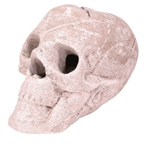 Barton Living Fireproof Imitated Human Fire Pit Skull Gas Log For Natural  Gas Lp Beige : Target