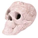 Barton Living Fireproof Imitated Human Fire Pit Skull Gas Log for Natural Gas LP Beige