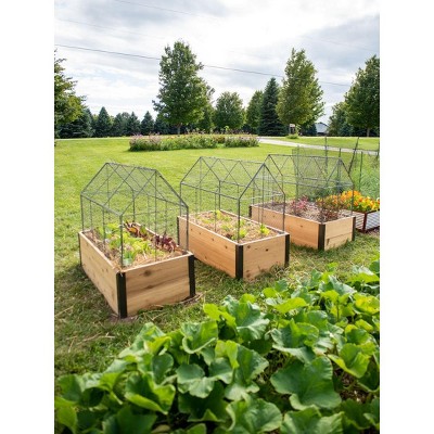 Gardener’s Supply Company Sturdy Chicken Wire Cloche Multiple Plant Crop Coop | Heavy Duty Raised Beds Elegant Garden Decor Plants & Vegetables Protection Against Birds and Wild Animals - 22" W x 45" L